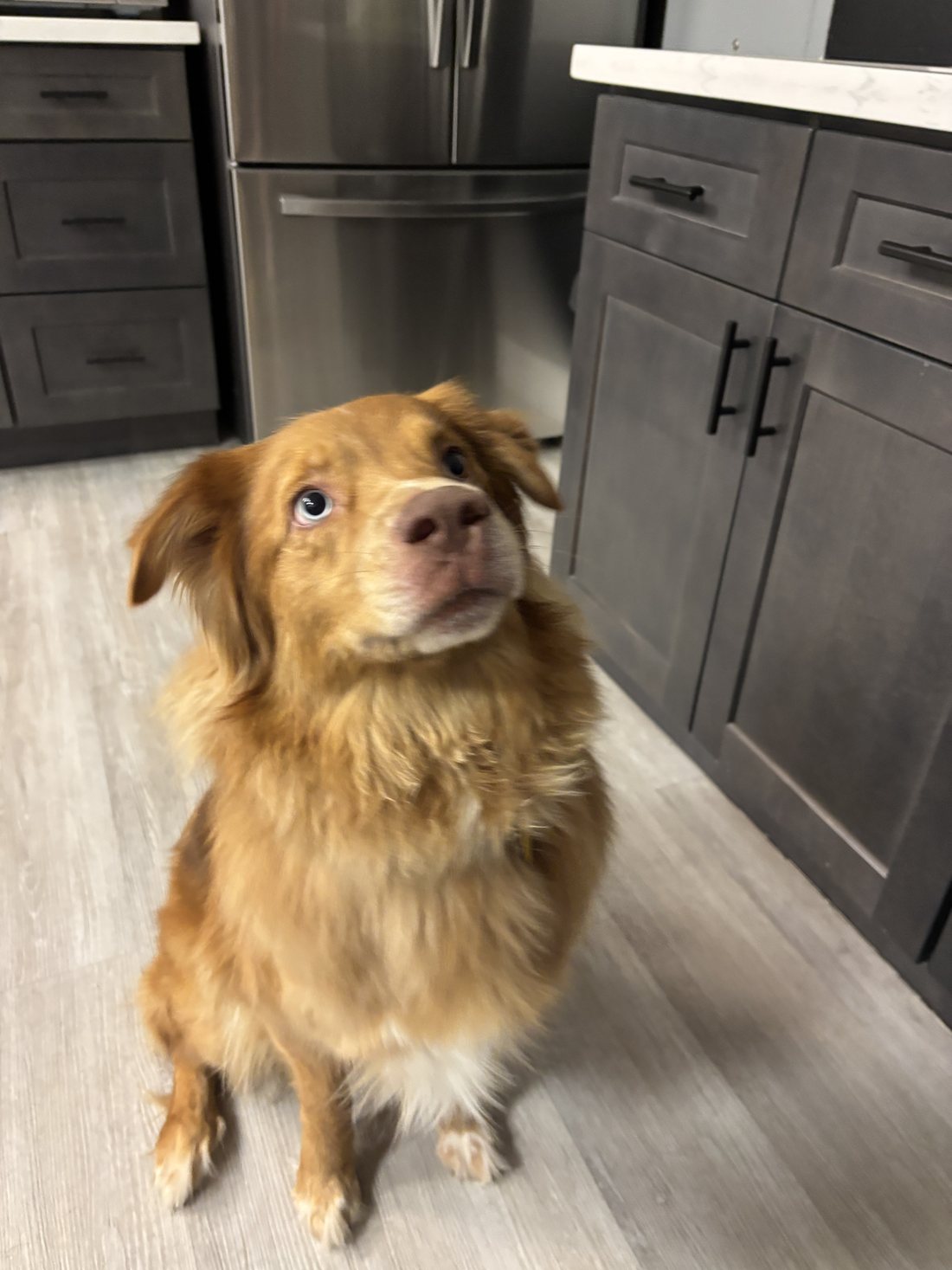 Arlo at the ECF showroom